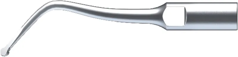 SBDR (2)