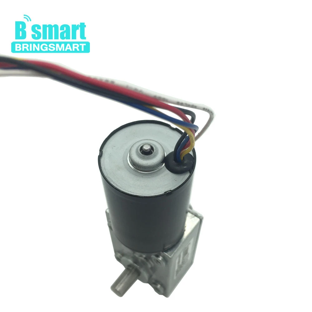

Bringsmart 24V 12V Mini Electric Motor 8-470RPM 2.5-60KG High Torque Worm Gearbox DC Motor Reversed Self Lock For DIY 5840-3650S