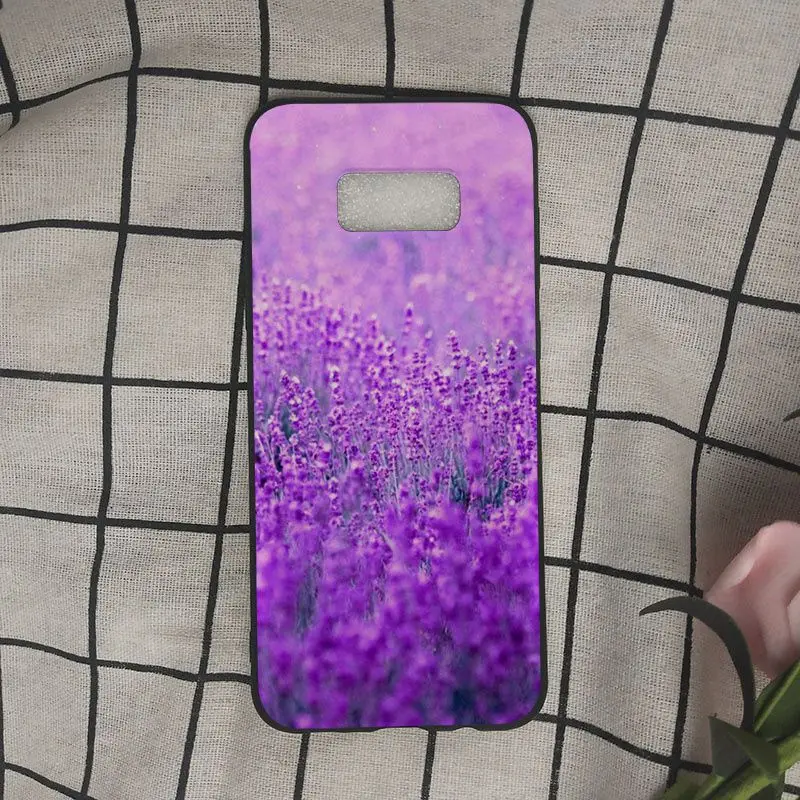 Simple lavender Purple flowers