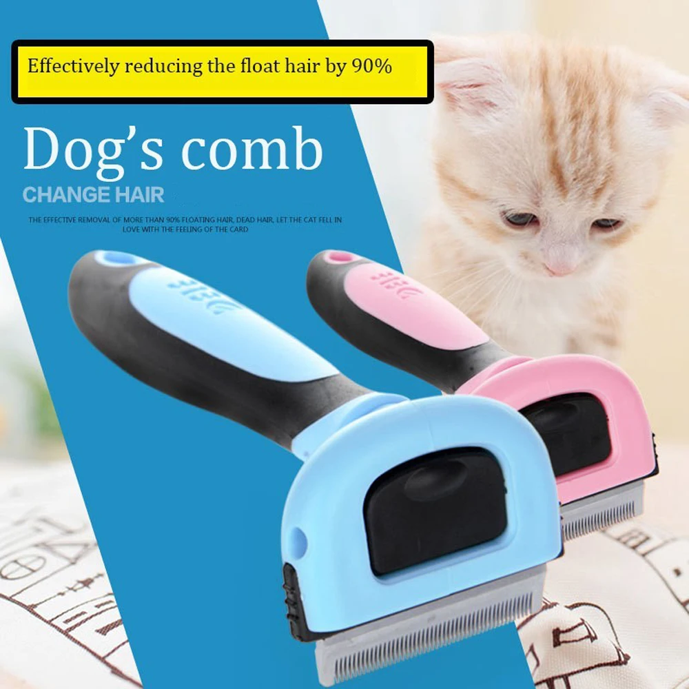 B9677A9F4DDA1EEC6EC84039FB456D10