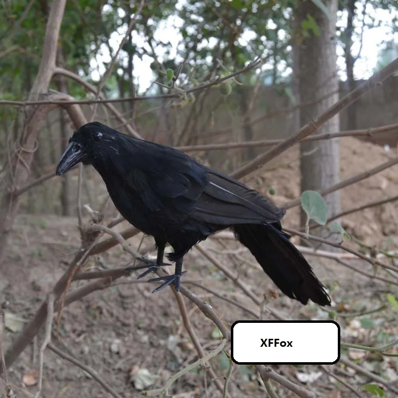 

big simulation black crow model foam&furs crow doll gift about 30cm xf0391