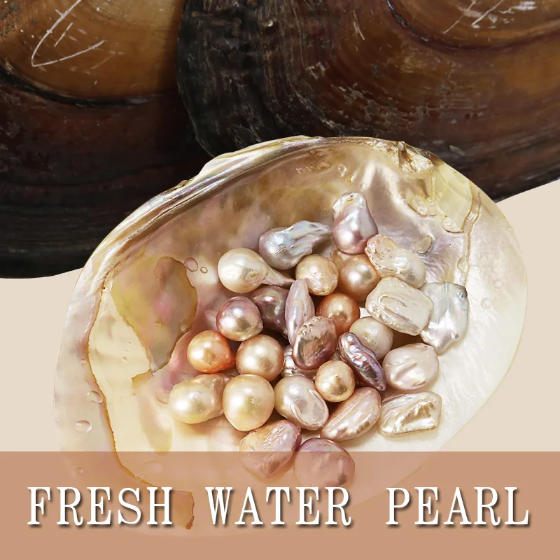 

4 IN 1 Freshwater Pearl Shell Include Baroque & Square & Button & Single bead Pearl DIY Pearl Jewelry
