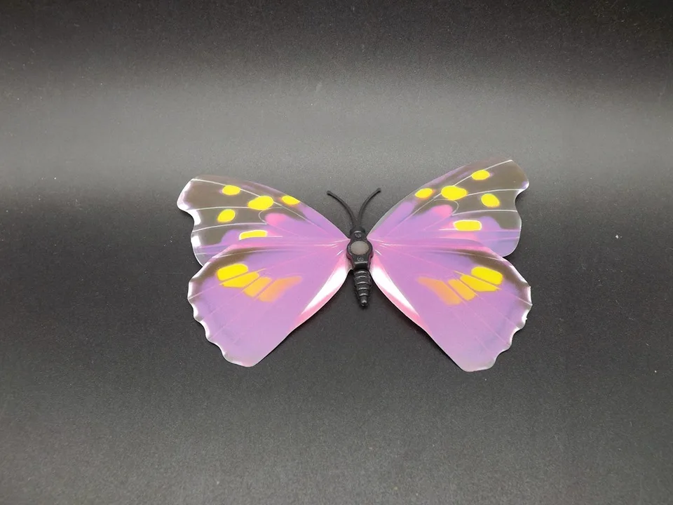 I241-Butterfly (8)