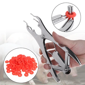 

1 Set Animal Castration Pliers With Rubber Ring Tail Cutting Clamp Bloodless Pig