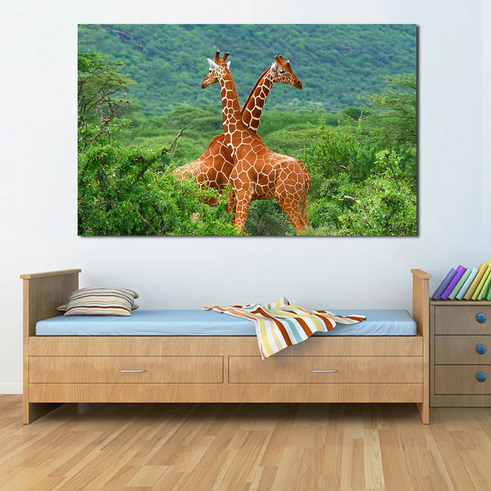 WA135Reticulated_Giraffe-2