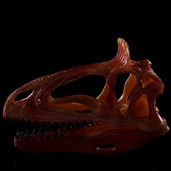 

Simulation Resin Crafts ome Decorations Accessories Interior Furnishings Cryolophosaurus Dinosaur Skull Study Model
