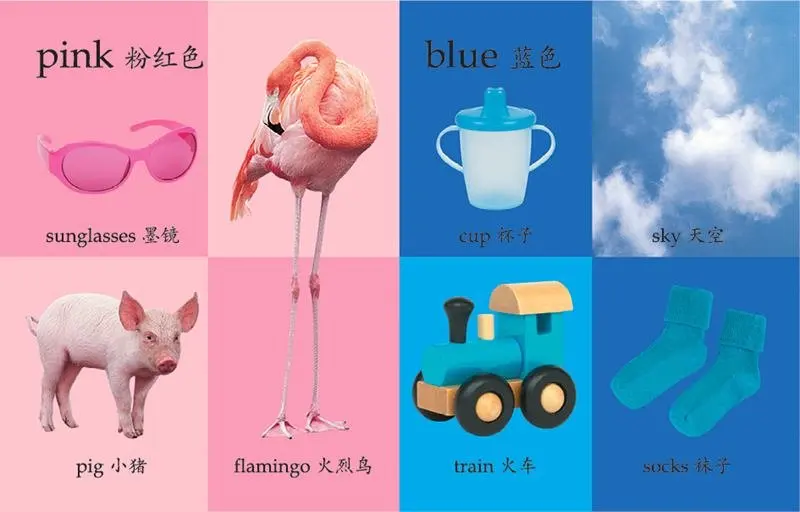 

Digital shape color Roger Pride Digital color shape 0-3 year old baby tattoo early childhood education children early education