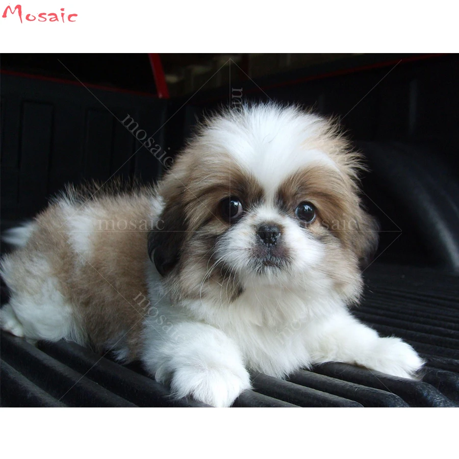 

Diamond Embroidery,diy 5D Diamond Painting"shih tzu dog"Cross Stitch Mosaic Full Square/round Rhinestones painting wall decor