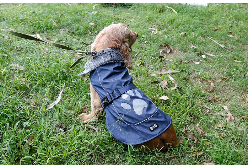 Dog Jacket Waterproof  (51)