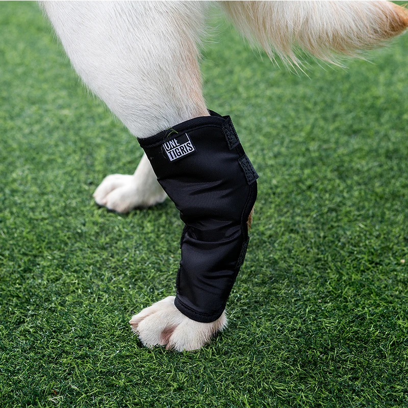 

OneTigris Canine Rear Leg Hock Joint Wrap Protects Wounds as they Heal Compression Brace Heals Travel Tool Kit