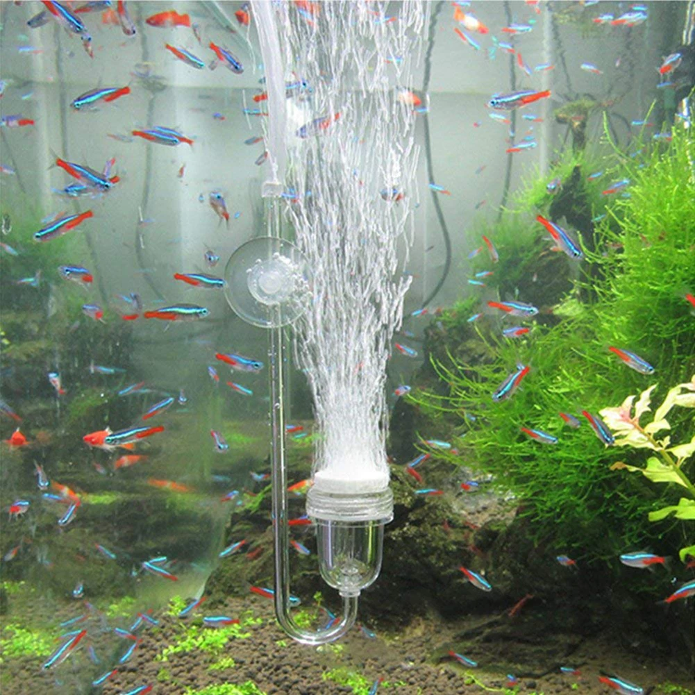 Аквариумные аксессуары аквариум Воздушный камень для аквариума и аквариума Nano воздухоперерабатывающий термометр для аквариума рыбной ёмкости