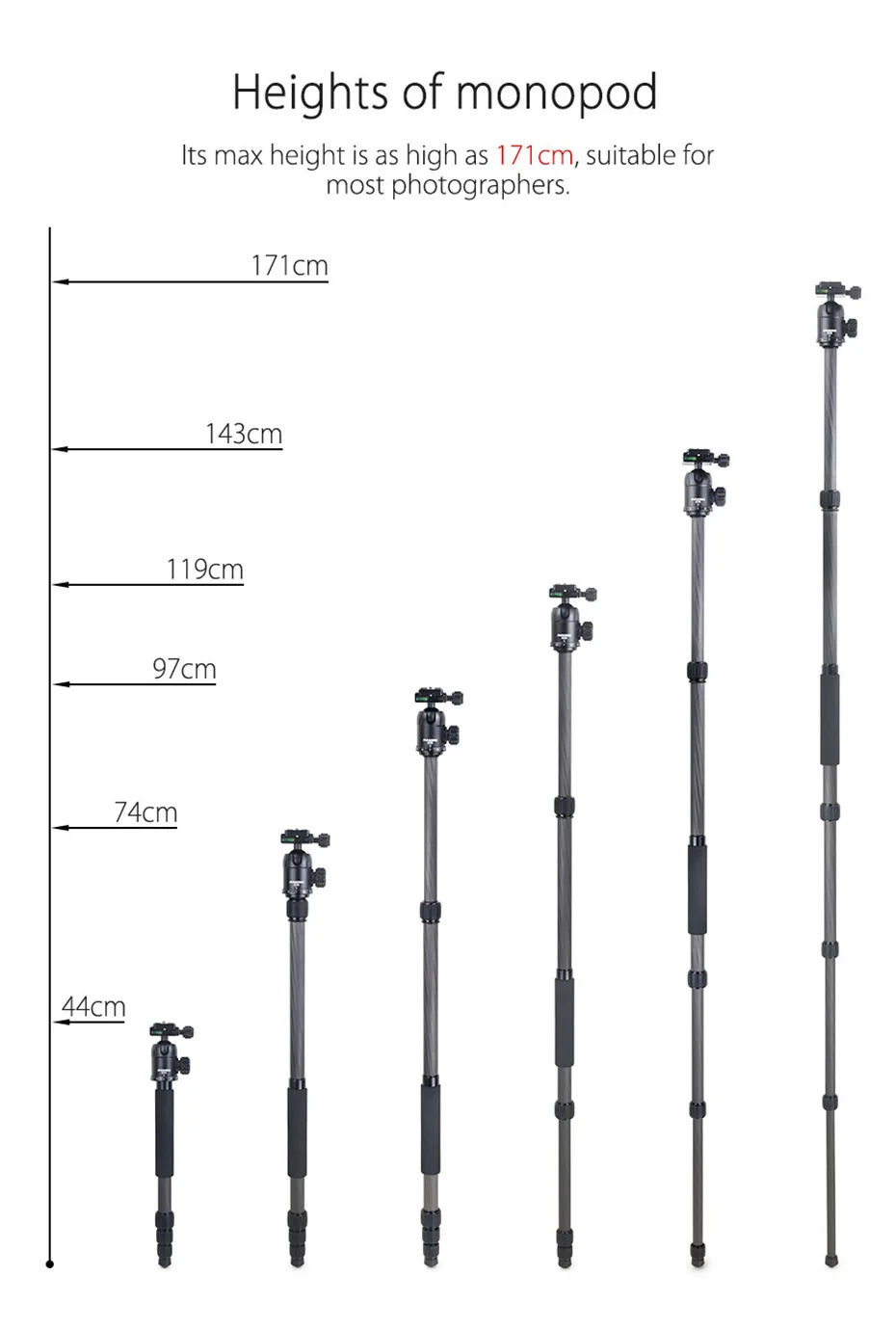 RT40C Carbon Fiber Camera Tripod Professional Travel Compact Tripod Video Monopo