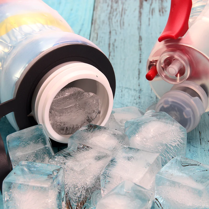 Double-Wall Insulated Bottle
