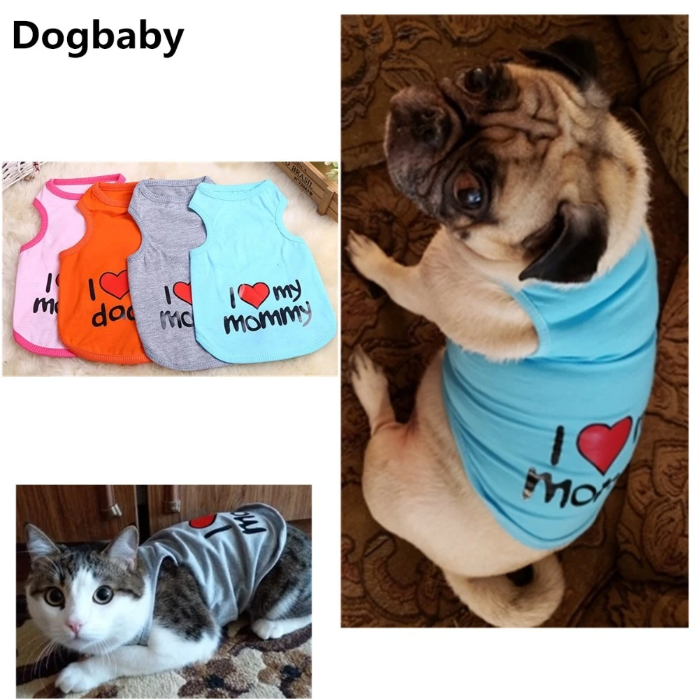 cheapest dog clothes
