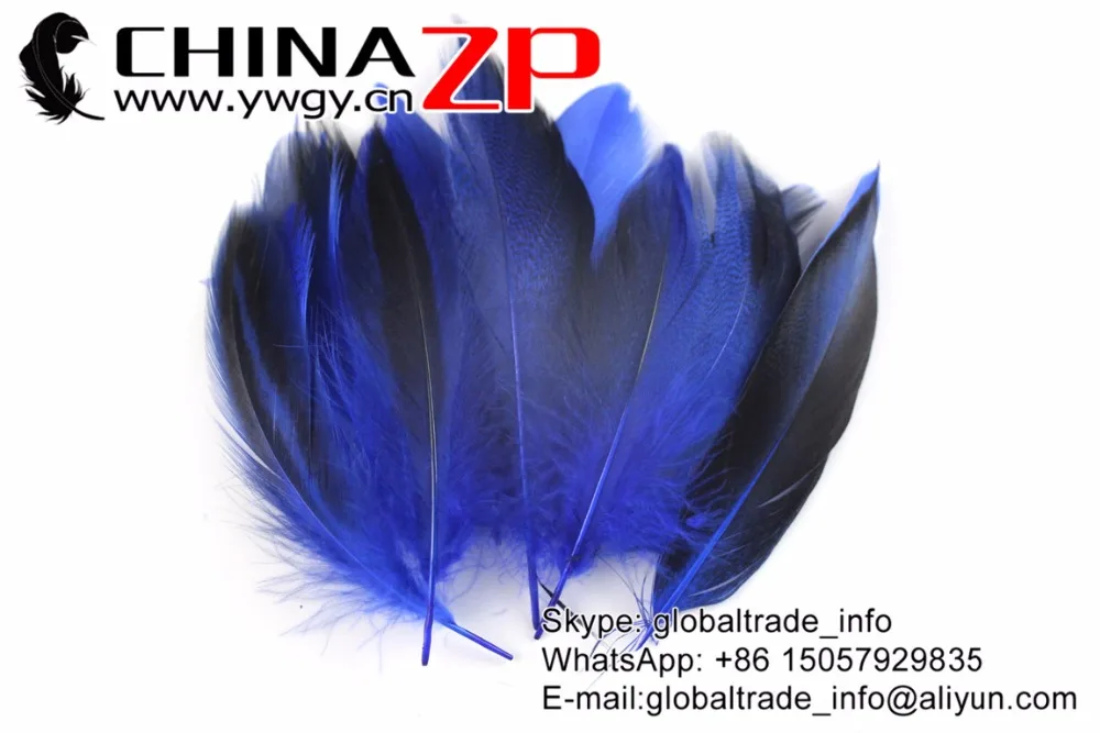 Fluffy Mallard Duck Flank Plumage Feathers Royal Blue (3)