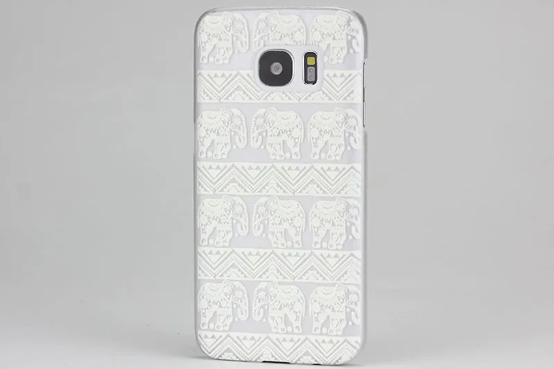 wwf-A000947_01