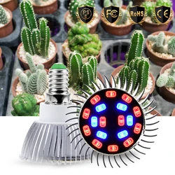Led Grow Light E27 Full Spectrum Led Plant Bulb E14 Fito Lamp 220V Led Hydroponics Light 18W Indoor Plant Flowers Lamp 5730 SMD Led Grow Light E27 Full Spectrum Led Plant Bulb E14 Fito Lamp 220V Led Hydroponics Light 18W Indoor Plant Flowers Lamp 5730 SMD