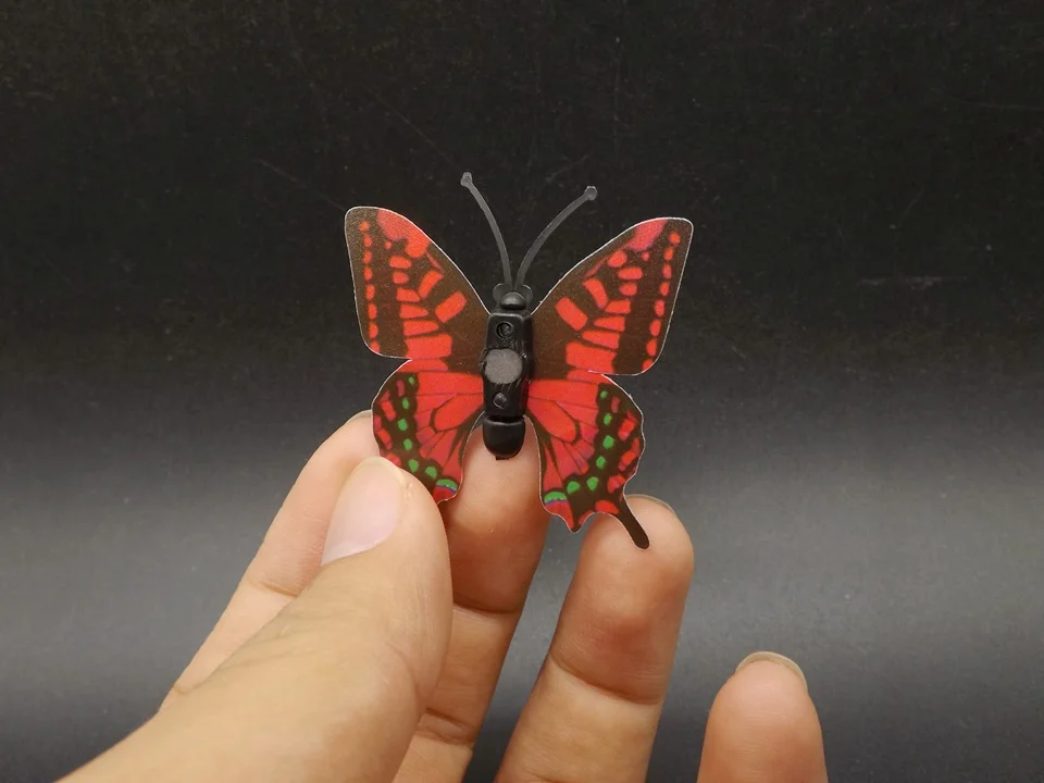 I245-Butterfly (4)