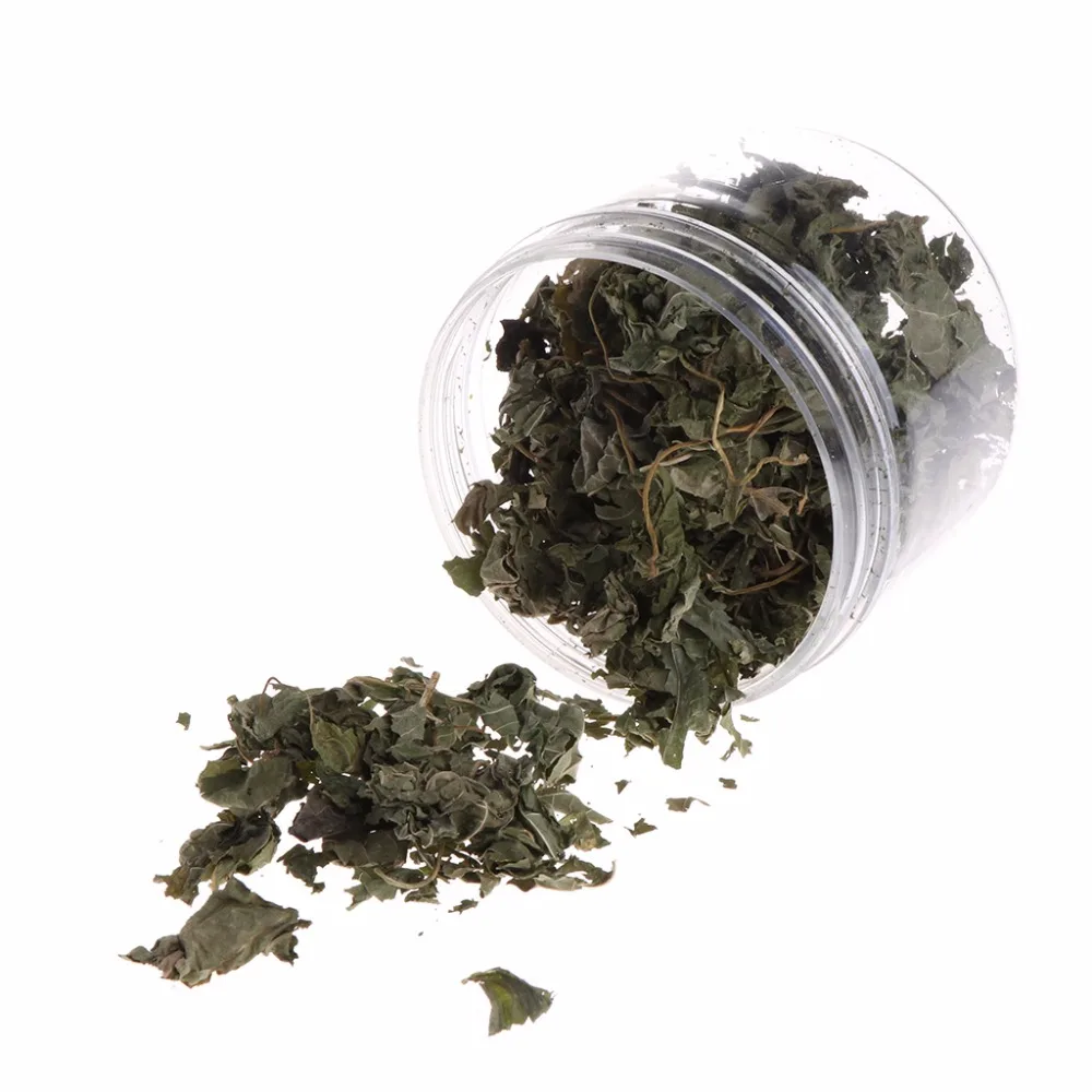 1 Bottle Pet Cat Natural Silvervine Leaves Cat Catnip Toy Dried Polygonum Matatabi Toys Flavor Snacks Cat Supplies C42