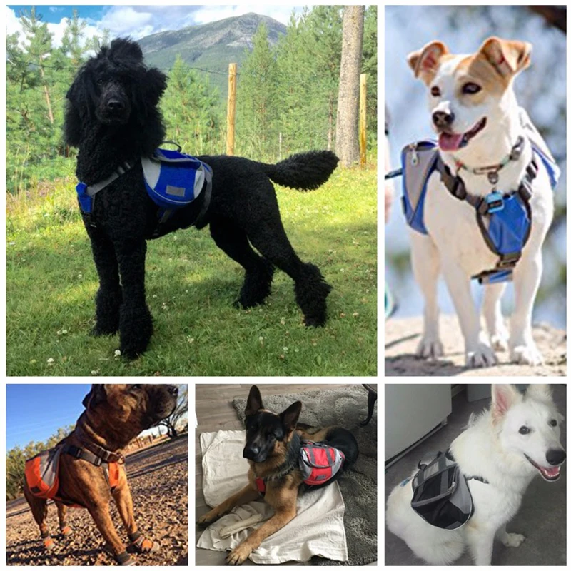 [TAILUP] Dog Harness K9 for Large Dogs Harness Pet Vest Led Collar Puppy Small Dog Leads Accessories Carrier Backpack py0025 (4)