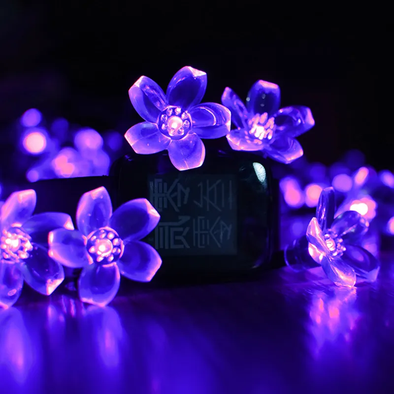 led solar string light  (23)_