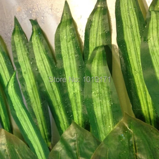 

50cm 20pcs Silk Party Artificial Brazil Bird Palm Evergreen Plant Tree Leaf Branch in Wedding Home Beach Decor Green