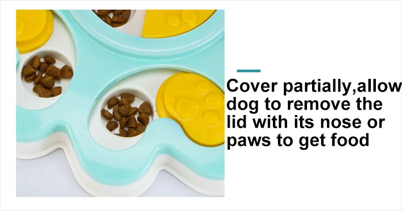 Interactive toy for dog
