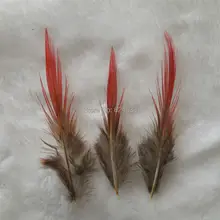 100Pcs/lot 5-9cm pheasant feathers,golden pheasant feathers, red tipped, striped feather, lot. 100pcs lot esd5z5 0t1g