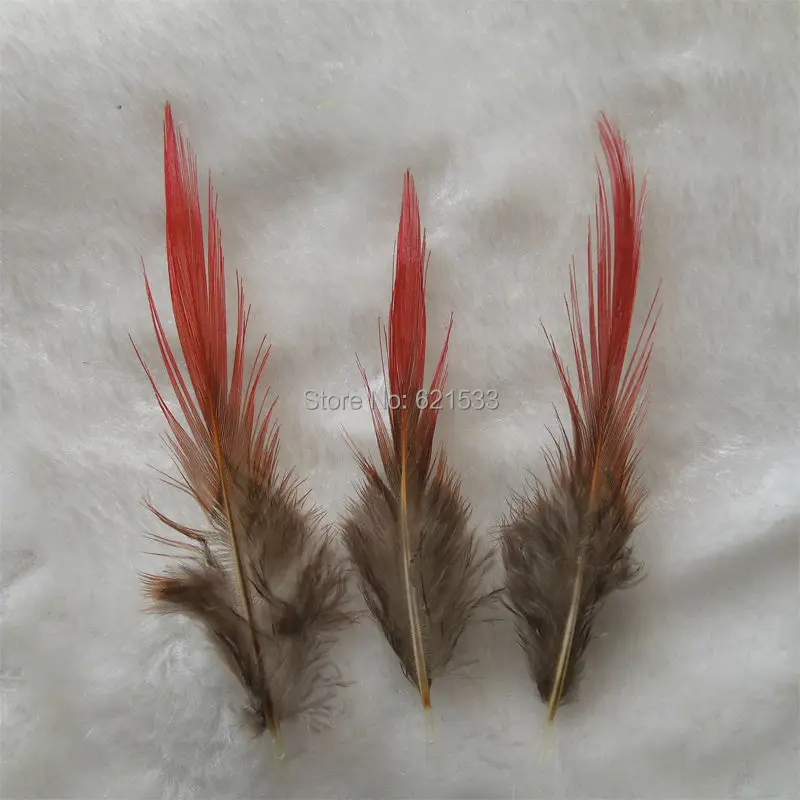 

100Pcs/lot 5-9cm pheasant feathers,golden pheasant feathers, red tipped, striped feather, lot.