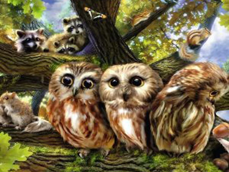 Diy Diamond Painting Cross Stitch Square&ampround Animal Owl squirrel Bear Embroidery 5D Mosaic Crafts Home Decor | Дом и сад