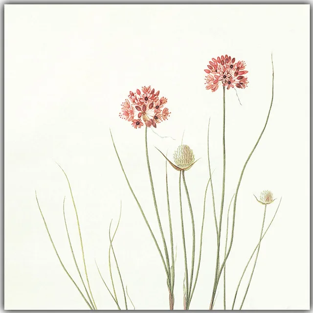 Fresh-Nature-Flowers-Are-Modern-and-Simple-Canvas-Painting-Art-Print-Poster-Picture-Wall-Paintings-Home.jpg_640x640 (5)