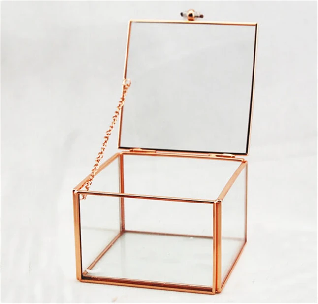 Cube Shape Geometric Terrariums3.jpg