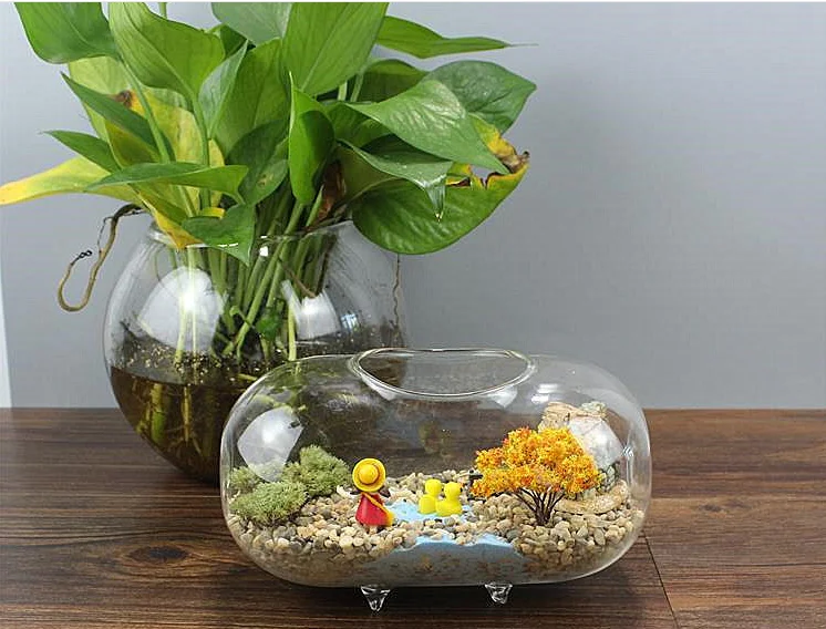 Transparent 18 cm Ovale En Verre Fleur Vase Mini Fish Tank Aquarium