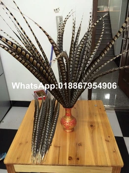 

Free Shipping 100-110cm 50pcs natural brown colors ringneck Lady danceing pheasant tails Side pheasant feather