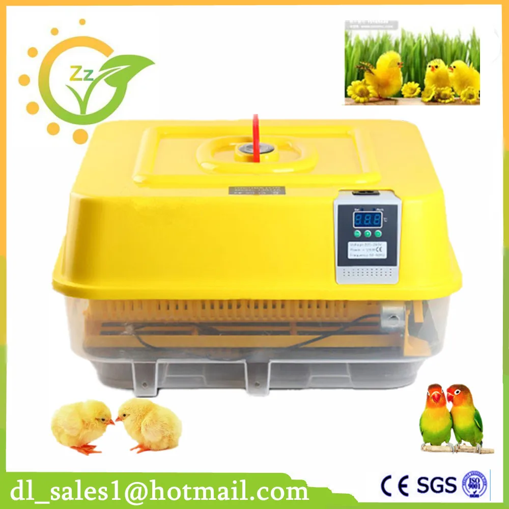 

Cheap Price Full Automatic Mini Chicken Egg Incubator 39 Eggs With CE Approved For Sale
