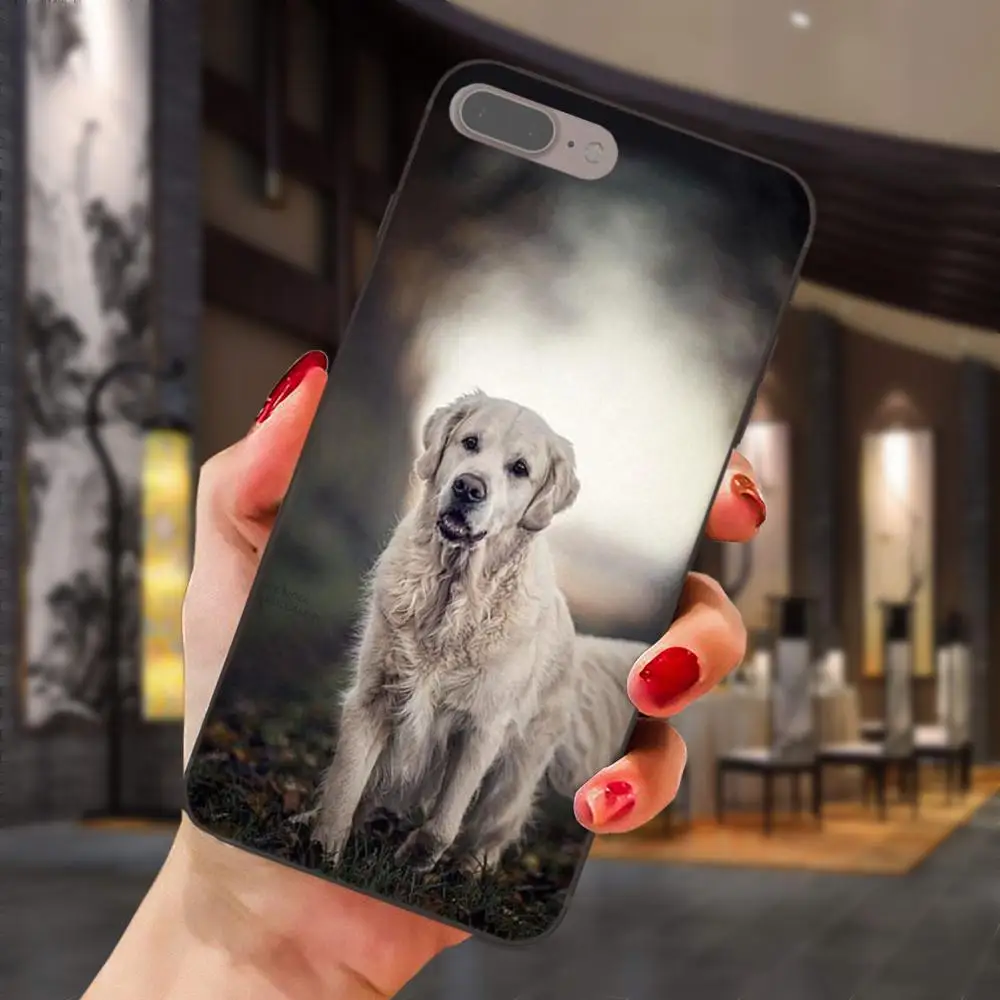Мягкие чехлы для Samsung Galaxy Note 4 8 9 S3 S4 S5 S6 S7 S8 S9 S10 Edge Plus Lite I9080 G313 золотистый ретривер