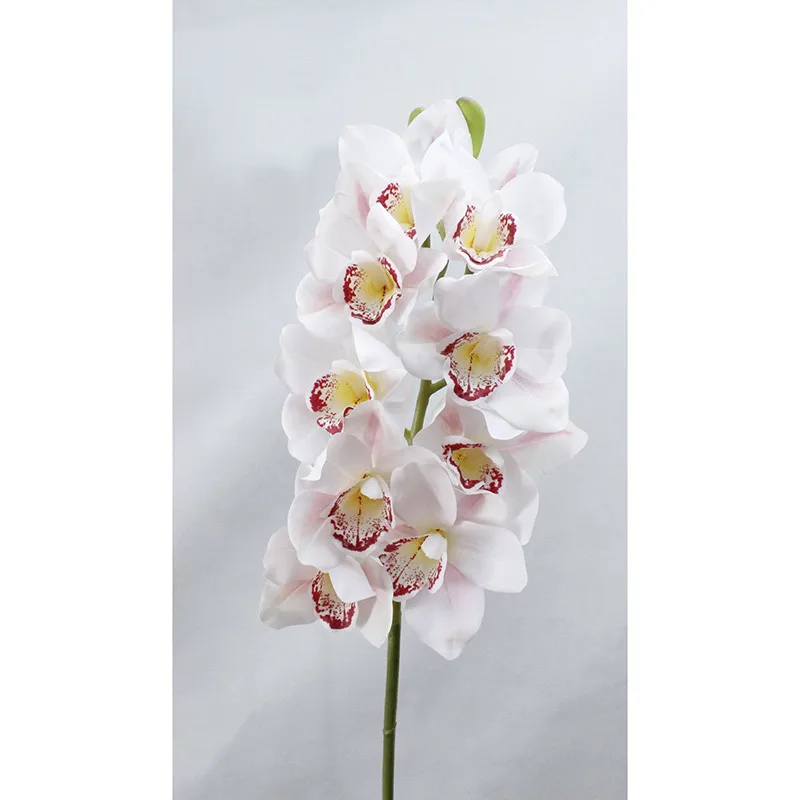 3D принт, настоящий сенсорный цветок, 11 головок, большие императорские орхидеи, искусственные цветы для украшения дома, декор для гостиной, отеля - Color: White