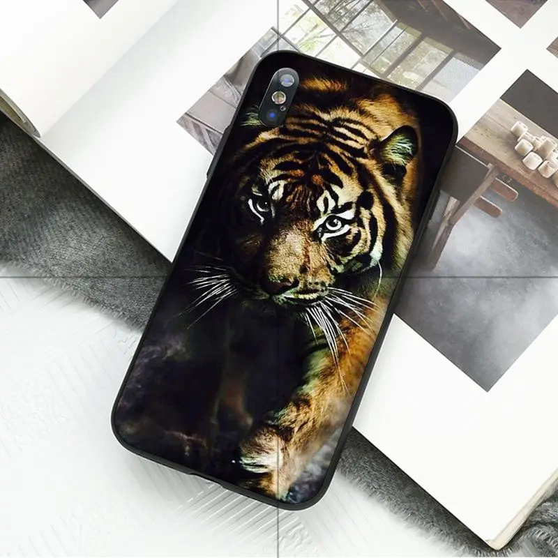 animal tiger