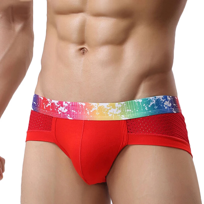 

New Sexy Briefs Men Underwear Cuecas Shorts Mesh Breathable Low Waist Underpants Ropa Interior Hombre Camo Underwear 4Pcs/lot