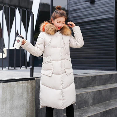 Winter Jacket Women Medium And Long Section Big Fur Collar Cotton Clothing Winter Jacket Women Coats Women Parka 2018 CH778 (3)