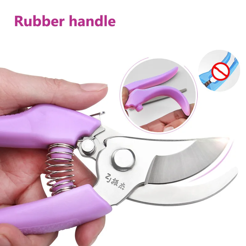 Pruning Scissors (9)