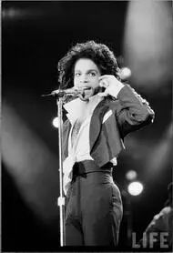 

Prince Rogers Nelson Music Art Wall Decor Silk Print Poster