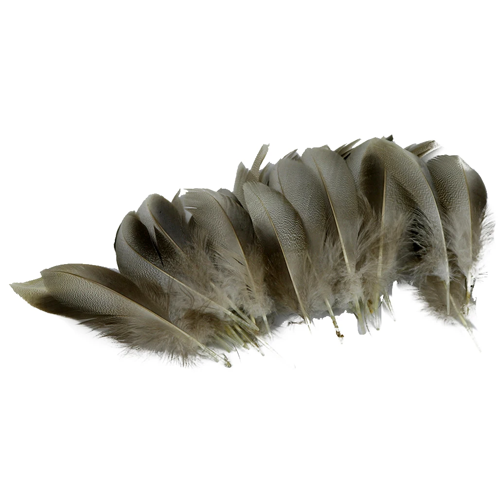 50pcs Wild Duck Mallard Natural Feathers for Craft Party Decoration 8-12cm