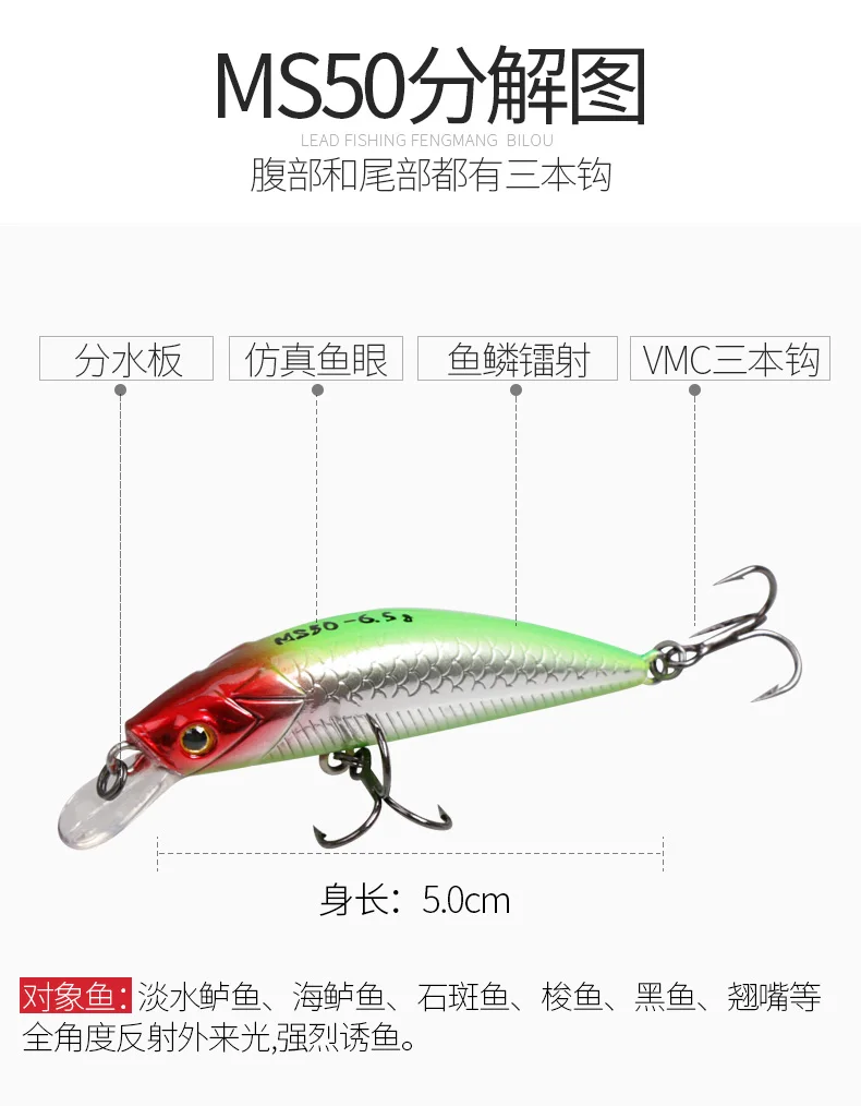 MS50_02