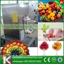 Digital speed control stainless steel gelato soft nut ice cream fruit blender mixer machine