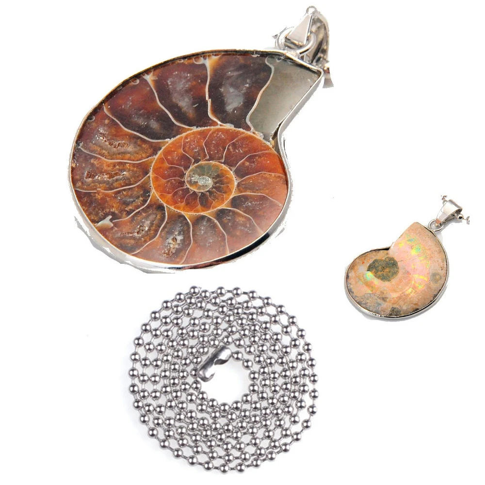 

Sea Nautilus Ammonite Shell Pendant Necklace New Arrive Madagascar Pendant Natural Coloured Snail Fossils Pendant Necklaces