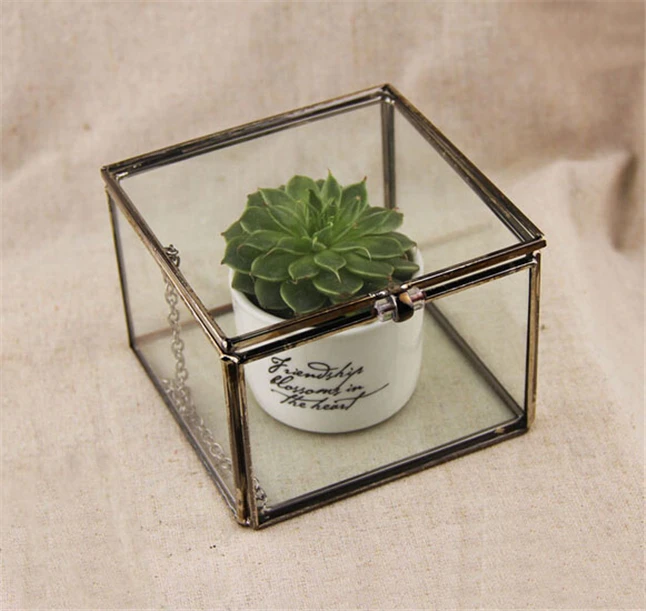Cube Shape Geometric Terrariums4.jpg
