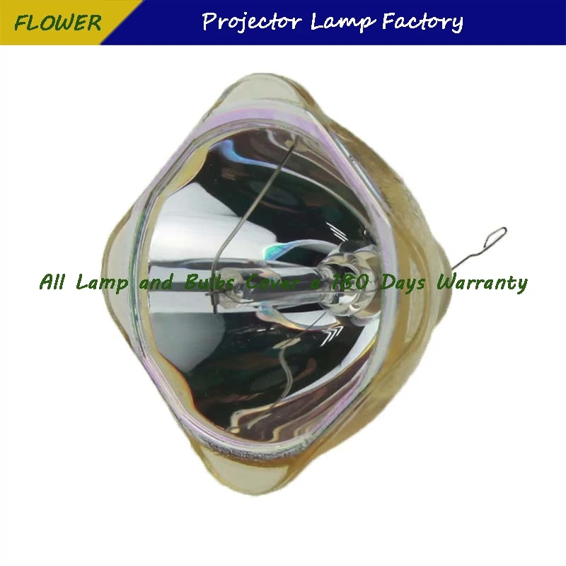 Рисунок 2 - DT00731, 180 дней гарантии