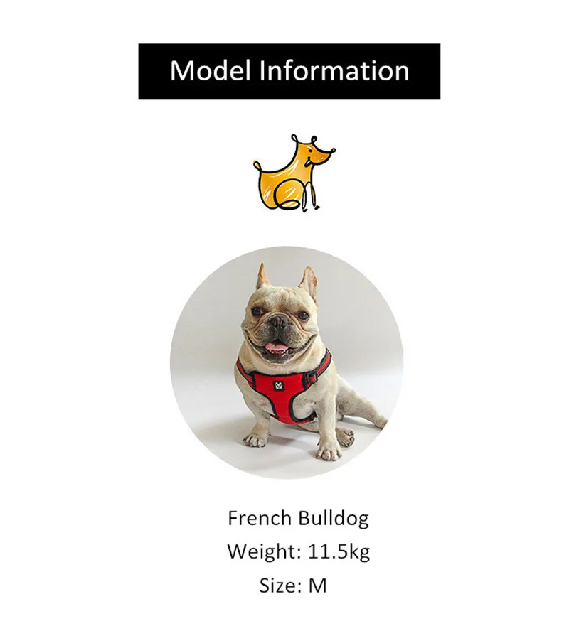 Dog Harness and Leash Set  (22)