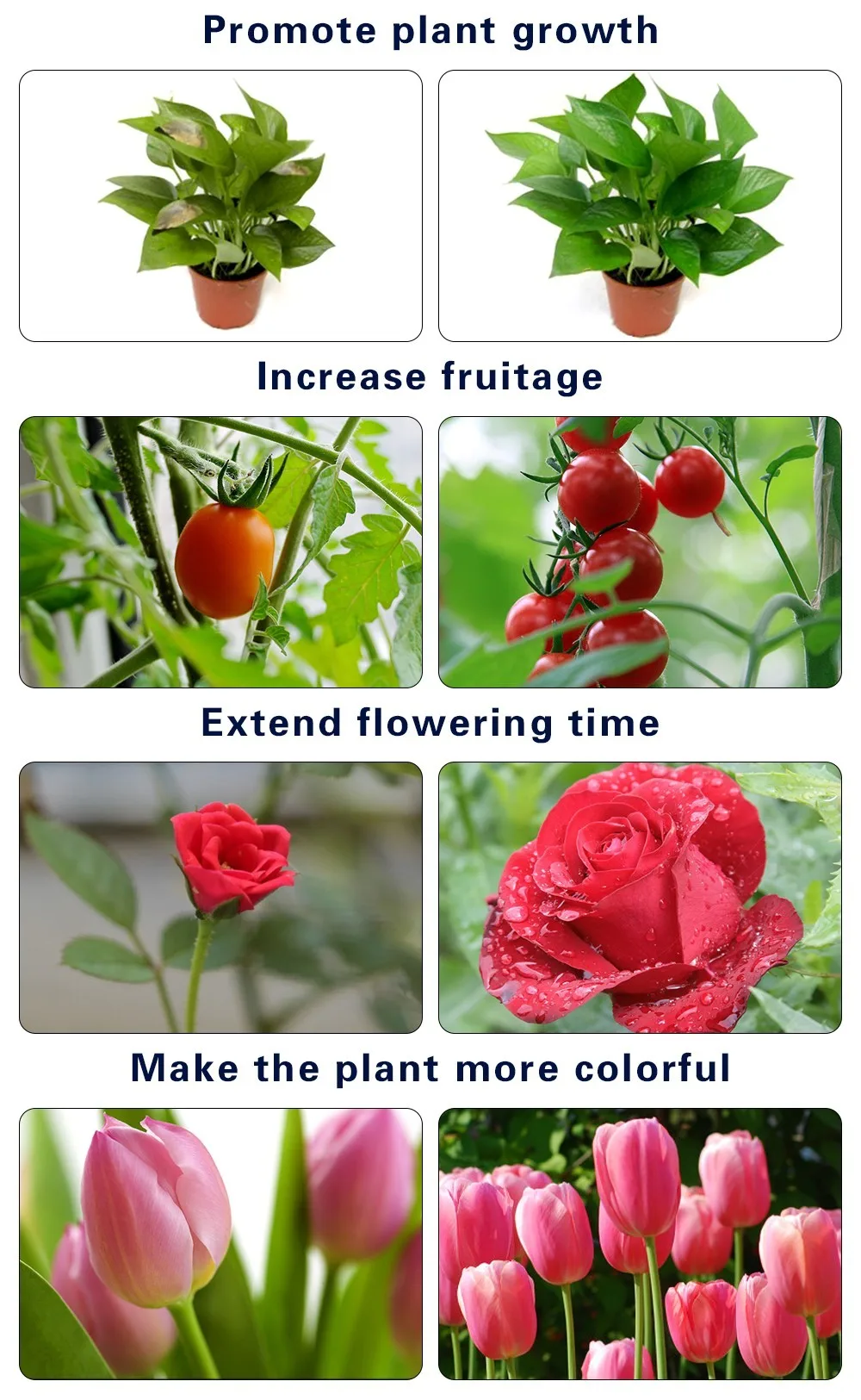 1c led grow light